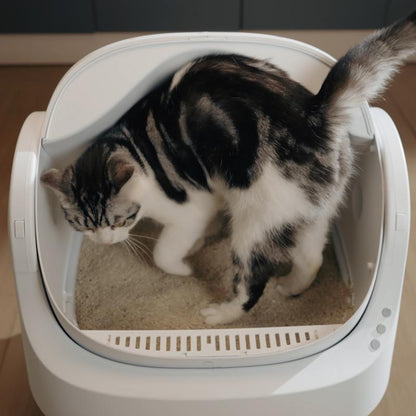 Self-Cleaning Cat Litter Box