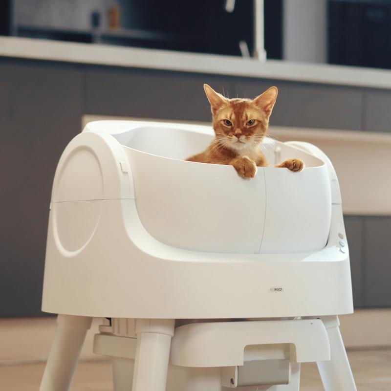 Self-Cleaning Cat Litter Box